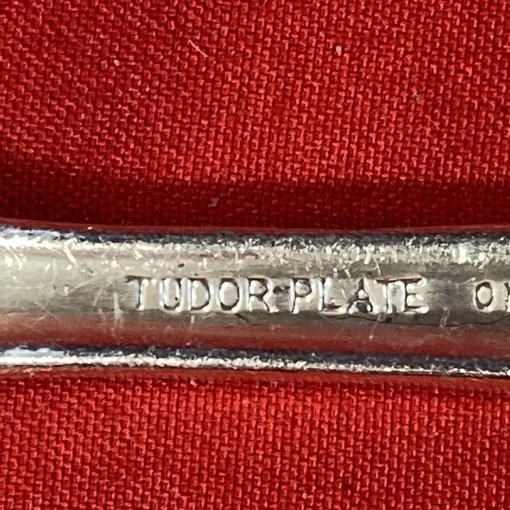 10 - Vintage Oneida Dinner Forks / Tudor Plate Silver Flatware / Community